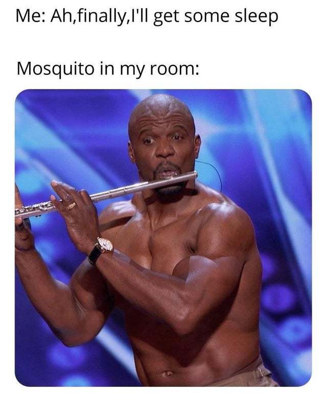 I hate mosquitoes - meme