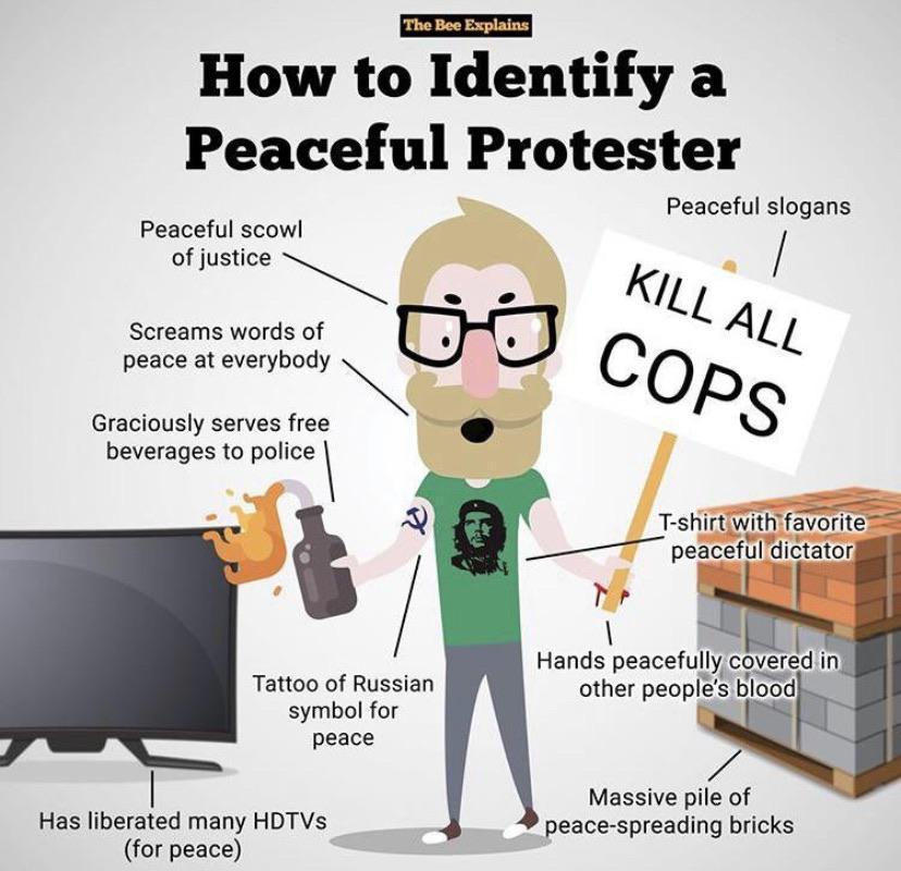 dongs in a protest - meme