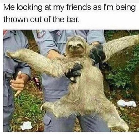 sloth  - meme
