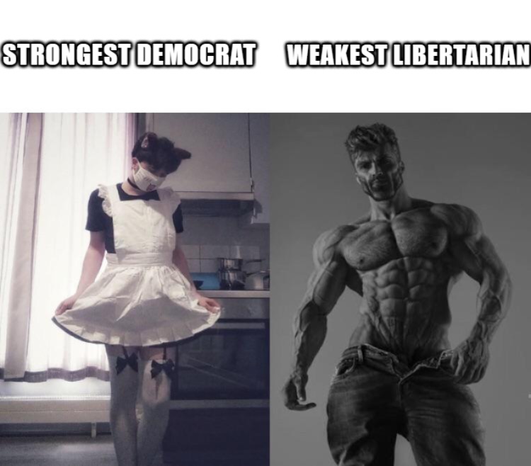 dongs in a libertarian - meme