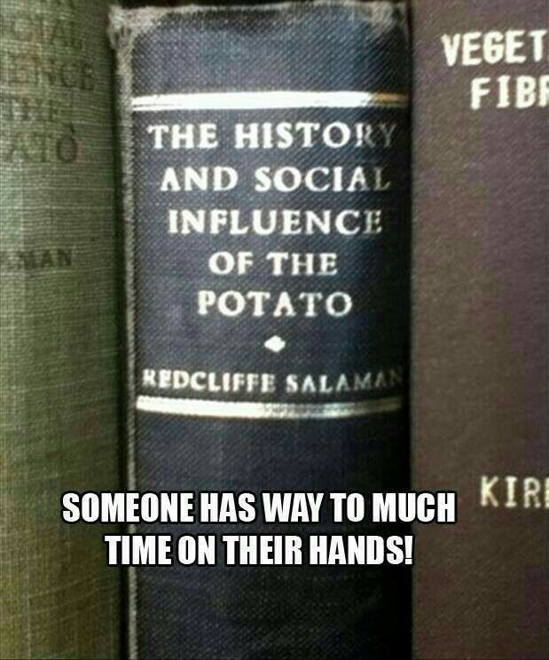 Potatoes are nice I guess - meme