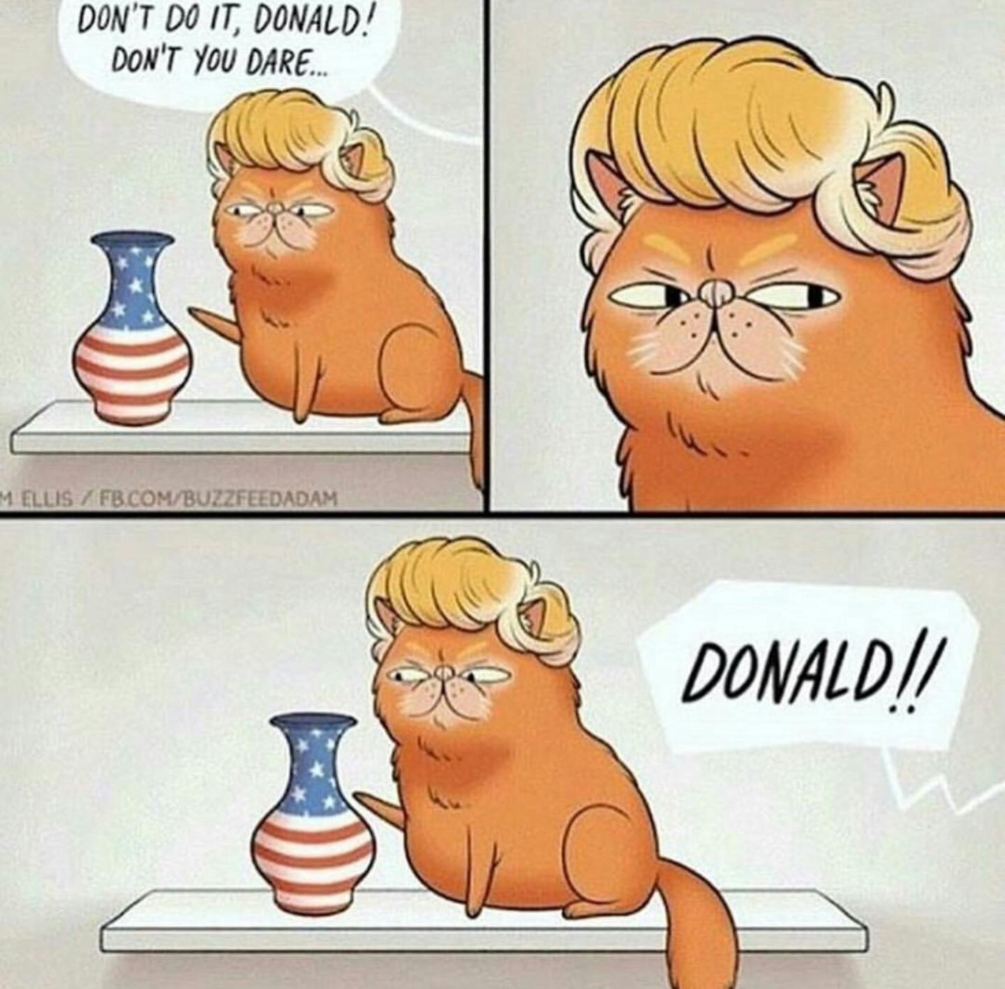 Donald Trump - meme