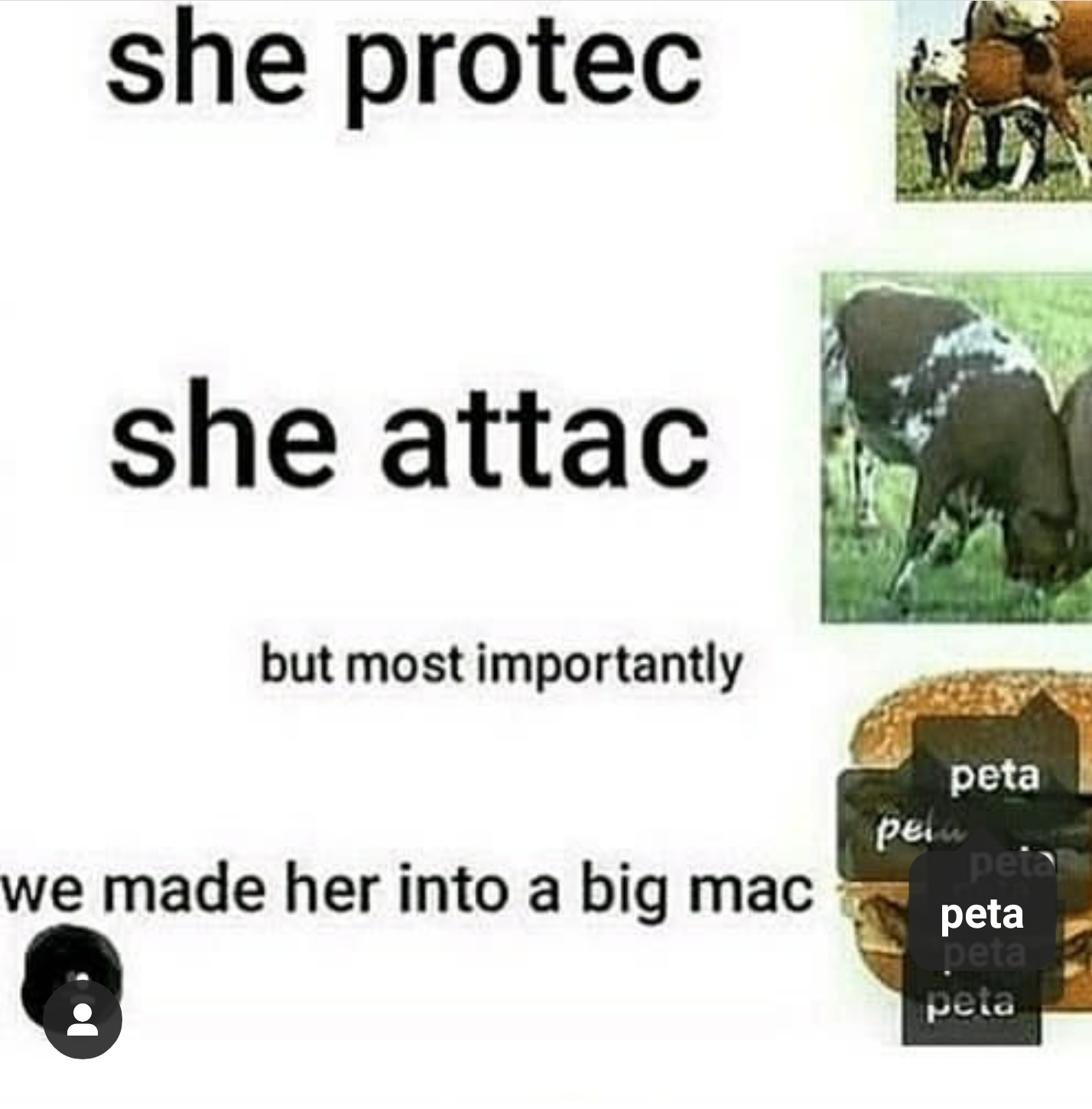 Friendly reminder that Peta still exists and is as shitty as ever - meme