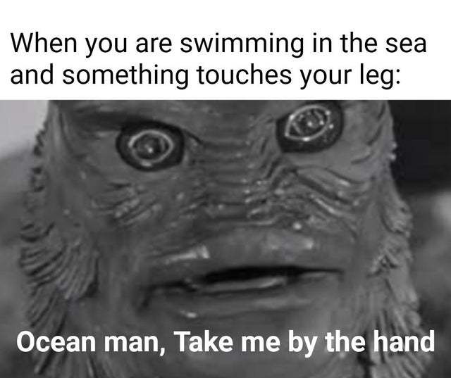 When you are swimming in the sea and something touches your leg - meme