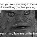 When you are swimming in the sea and something touches your leg