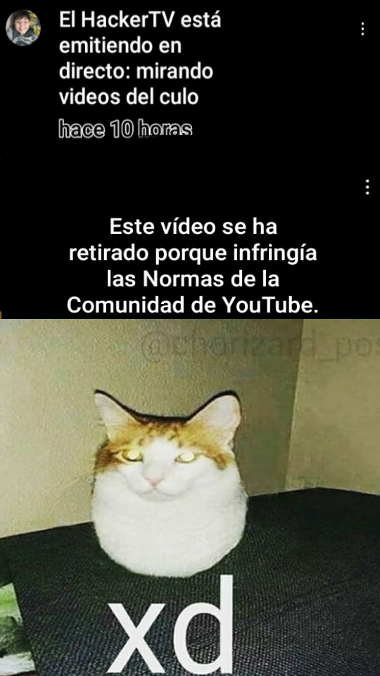 si recuerdan este canal de youtube, le saben al shitpost y son memedroiders verdaderos :chad: