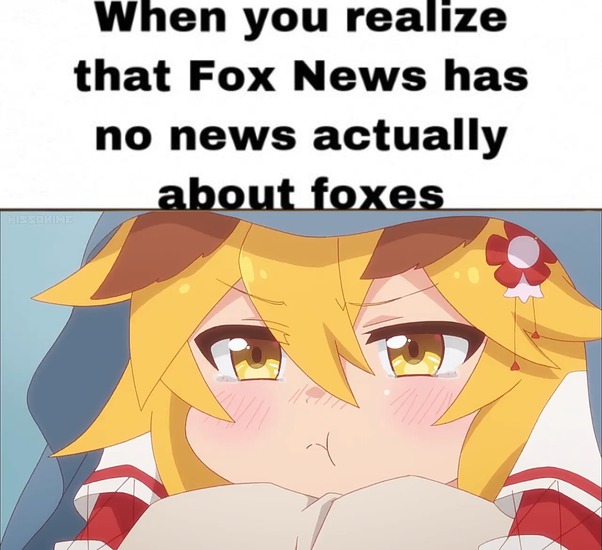 I want news about foxes :( - meme