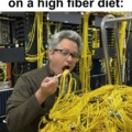 High fiber diet