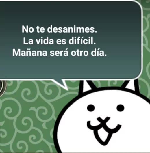 Repost, pero igual todos haganle caso al gato del the battle cats - meme