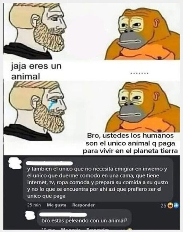 bro, estás peleando con un animal por internet otra vez - meme