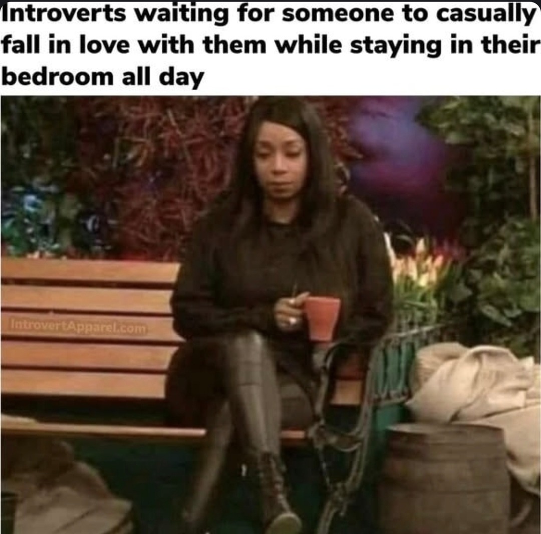 Just an introvert waiting to be discovered like buried treasure - meme