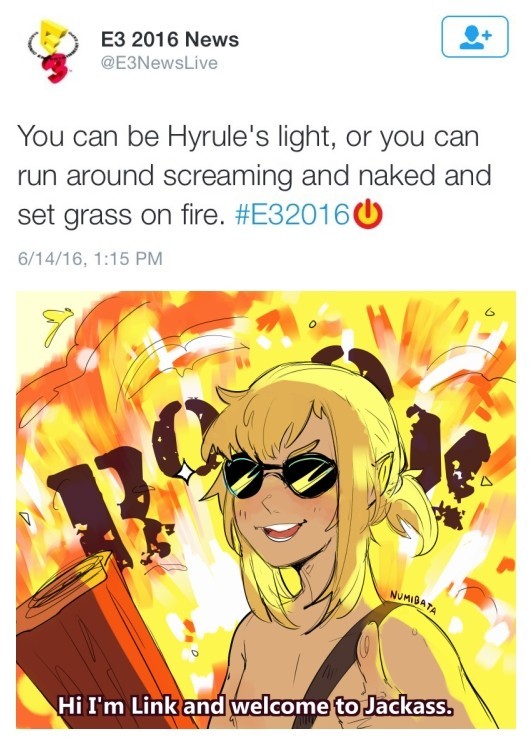 Hyrule has a new villain - meme