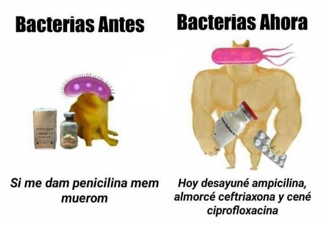 Bacterias - meme