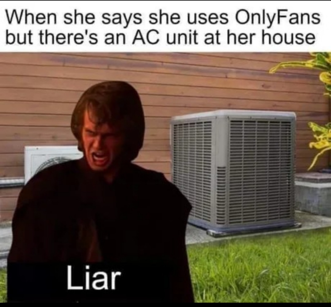 Skywalker knows the truth - meme