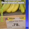 I'm going to eat a yellow tree dick