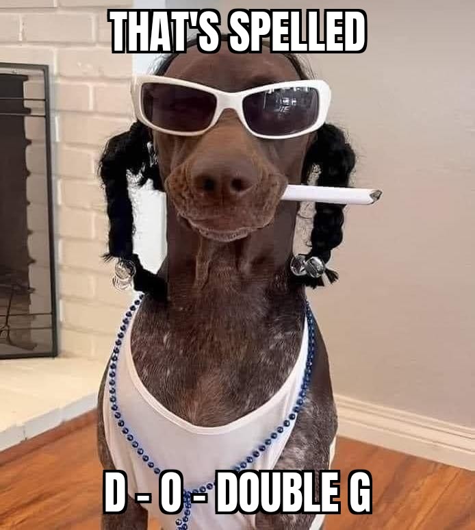 Snoop Doge - meme