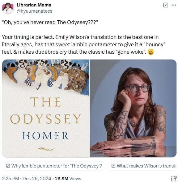 Emily Wilson's The Odyssey woke translation - meme