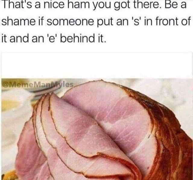 How to turn your ham into a shame - meme