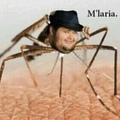 mosquito man