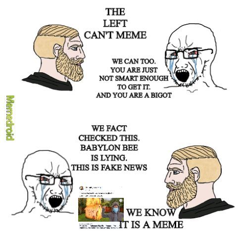 Next, fact check the onion - meme