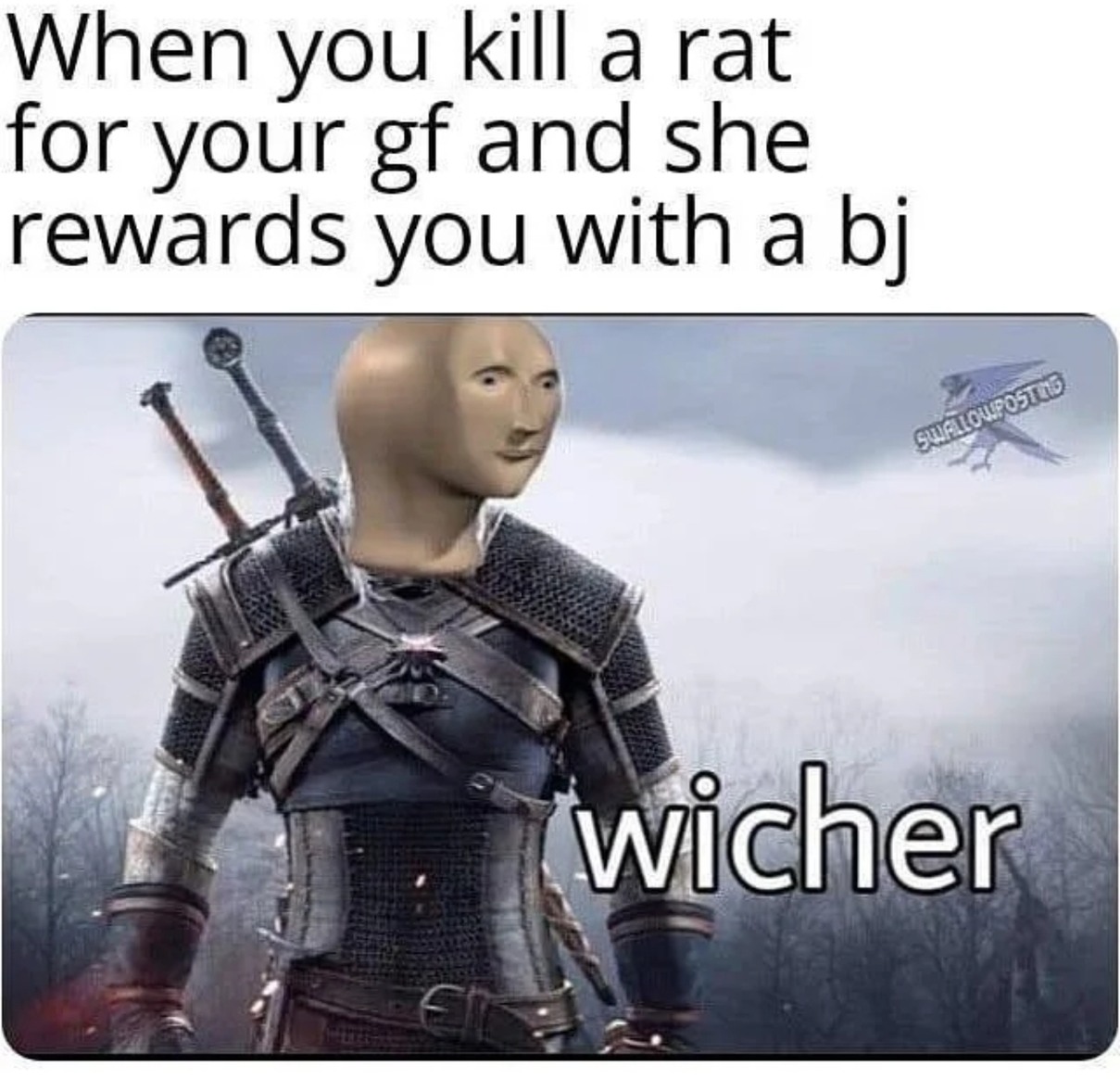 Toss a Coin to your witcher - meme