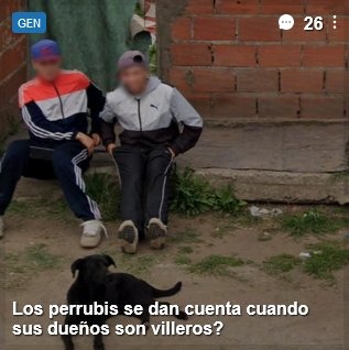 Pobres perrubis - meme