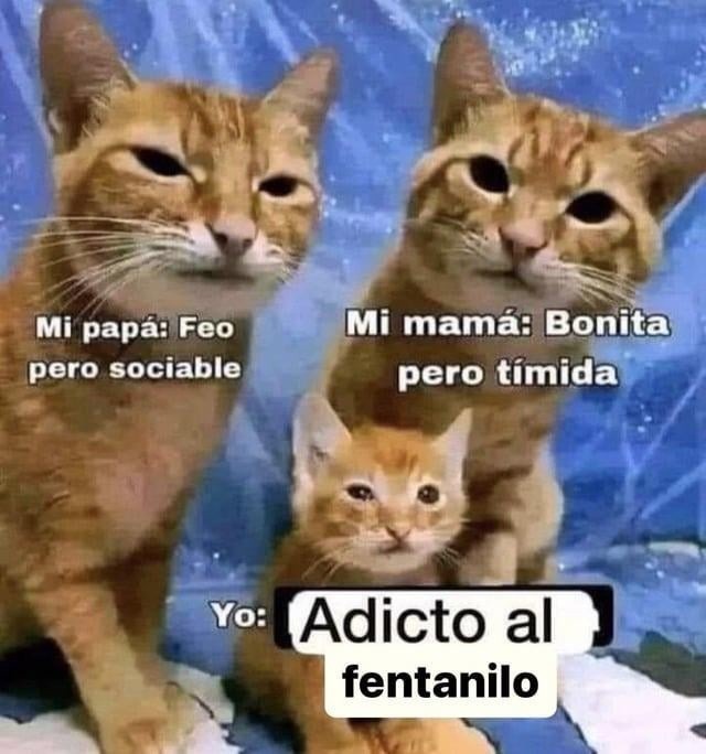 XD - meme