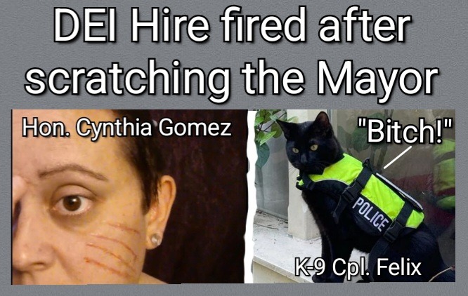 HR Policies Questioned - meme
