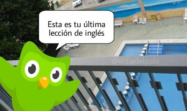 última clase de inglés cortesía del día del palo - meme