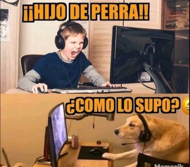 XD - meme