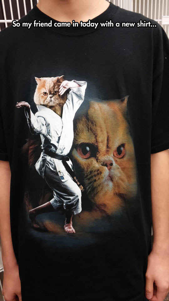 Karate t cat shirt - meme
