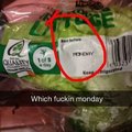 Irish lettuce