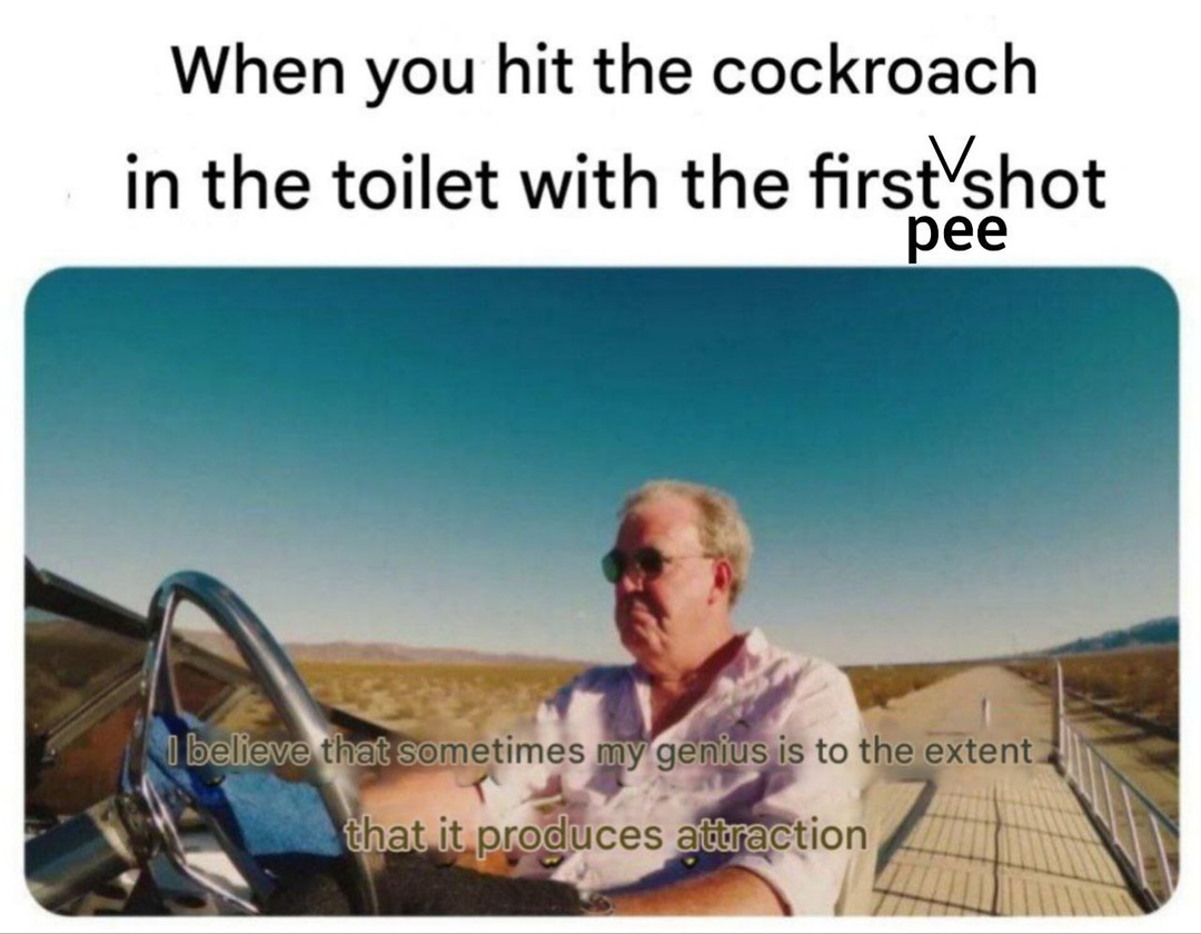 Hit the cockroach in the toilet with one shot. Peak precision - meme