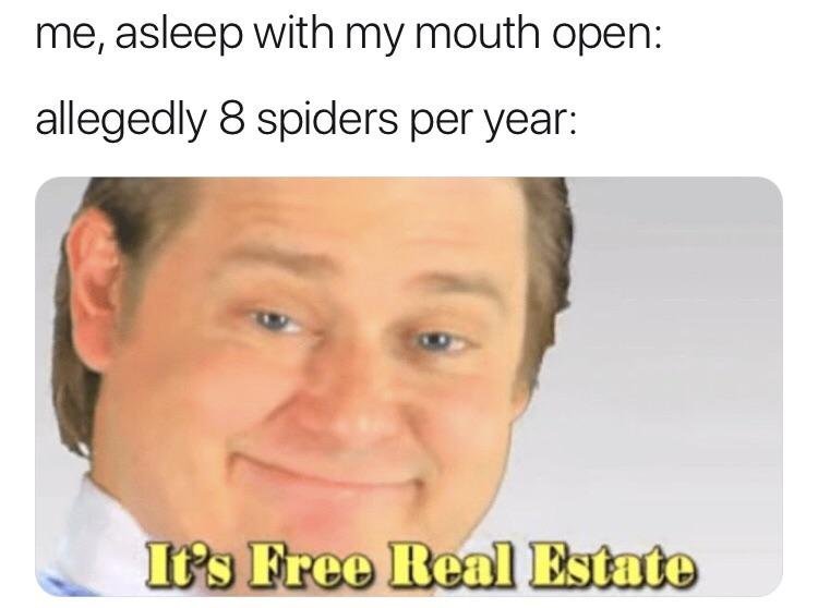 I don't think we eat 8 spiders per year. - meme