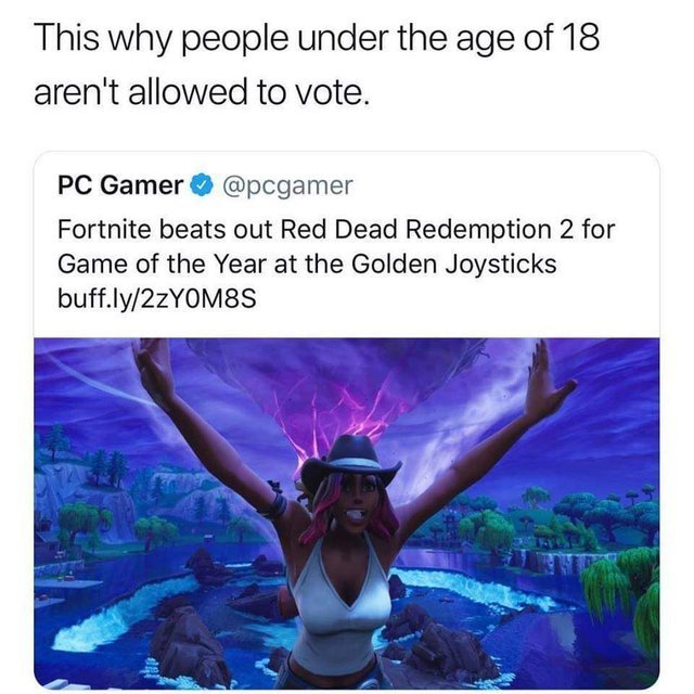 This is why people under 18 are not allowed to vote - meme