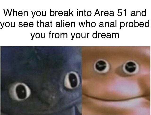 When you break into Area 51 and you see that alien who anal probed you from your dream - meme
