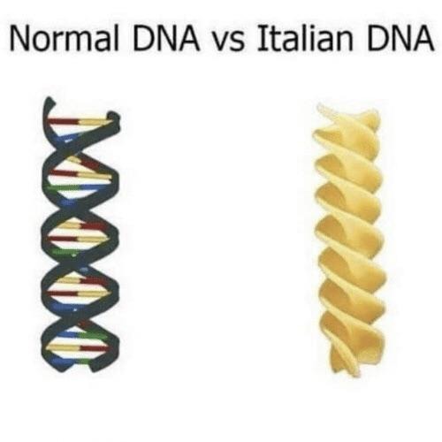 Normal DNA vs Italian DNA - meme