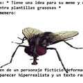 Mosca.png