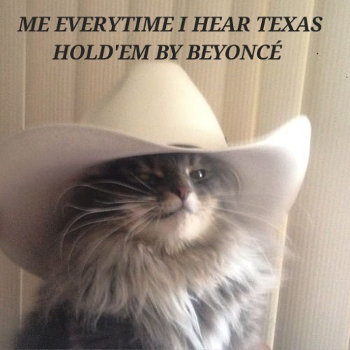 Texas Hold'Em Beyonce Cat Meme