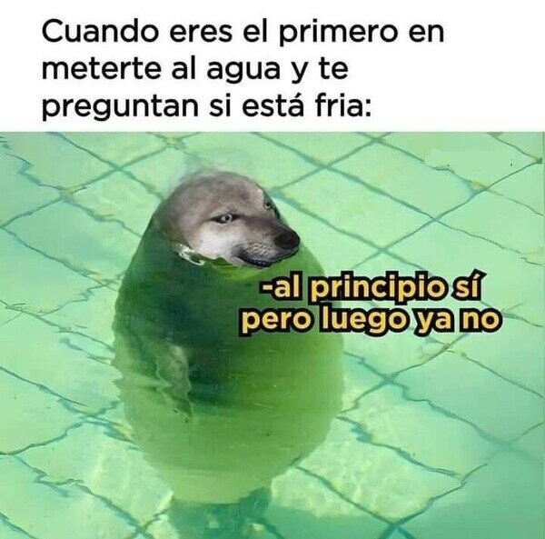 En principio si pero luego ya no - meme