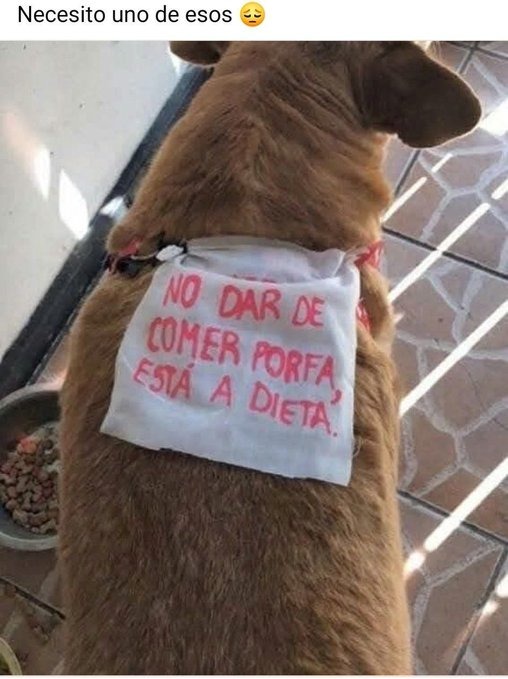 si necesitas que el perro se ponga a dieta - meme