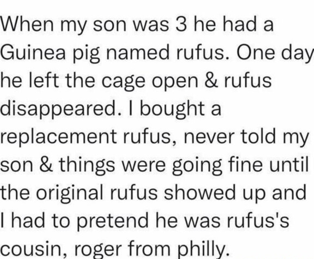 Replaced the guinea pig and told my son the original came back as his cousin Roger from Philly - meme