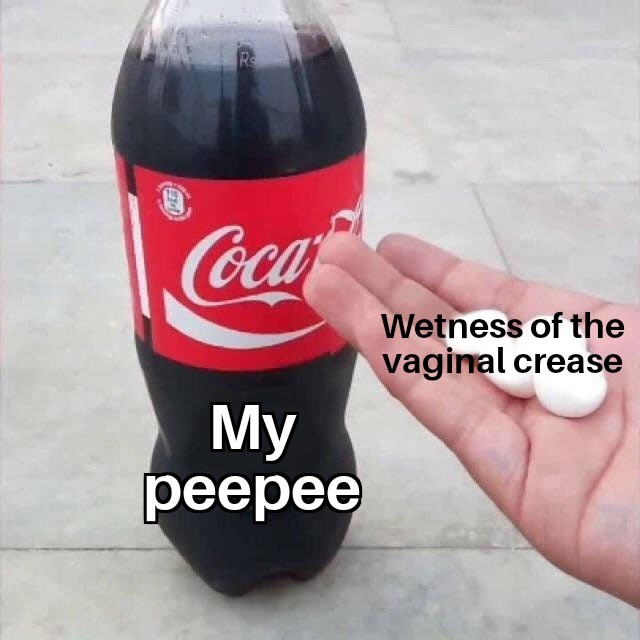 Awh yeah, MC Vagina - meme