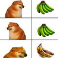 Why bananas why