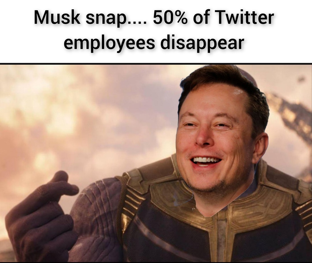 Mr Musk, I don't feel so employed - meme