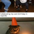 Celebrating my own birthday
