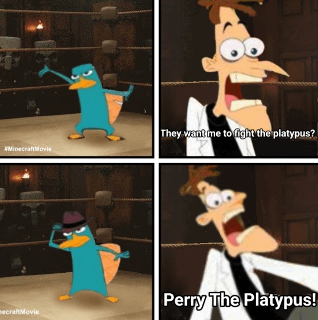 Fight the platypus? That’s a hard no - meme