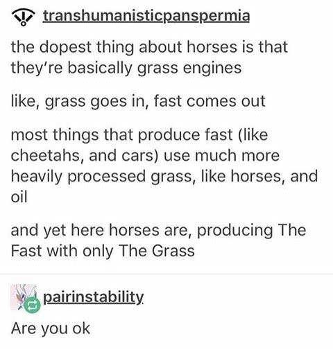 ﻿transhumanisticpanspermia the dopest about horses is that they’re basically grass engines grass goes in, fast comes out most things that produce fast (like cheetahs, and cars) use much more heavily processed grass, like horses, and oil and here horses are, producing The Fast with only The Grass pairinstability Are you ok thing like , yet