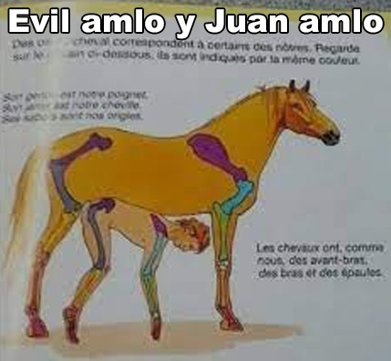 Juan caballo y amlo - meme