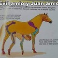 Juan caballo y amlo